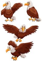 Quatro águias em diferentes ações vetor