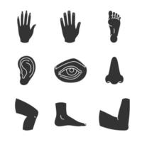 conjunto de ícones de glifo de partes do corpo humano. símbolos de silhueta. mãos masculinas e femininas, nariz, olhos, pés, orelha, articulação do cotovelo, joelho. ilustração isolada do vetor