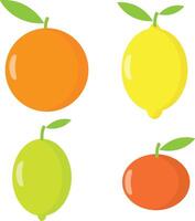 citrino todo frutas, laranja, limão, Lima e mandarim. vetor ilustração