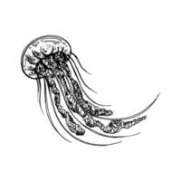 embaixo da agua mundo clipart com medusa. gráfico ilustração mão desenhado dentro Preto tinta. isolado objeto eps vetor. vetor