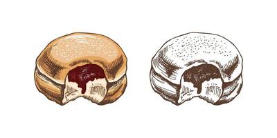 tradicional alemão polonês rosquinha com geléia, Empoeirado. vintage colori e monocromático ilustração. pastelaria doces, sobremesa. elemento para a Projeto do rótulos, embalagem e cartões postais. vetor