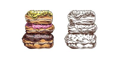 uma desenhado à mão colori e monocromático esboço do rosquinhas. vintage ilustração. pastelaria doces, sobremesa. elemento para a Projeto do rótulos, embalagem e cartões postais. vetor