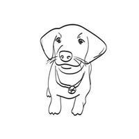 sorrindo filhote de cachorro ilustração vetorial isolado na arte de linha de fundo branco. vetor