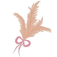 um buquê de trigo, pampas com um laço rosa é isolado em um fundo branco. ilustração vetorial no estilo boho plano de cortaderia selloana vetor