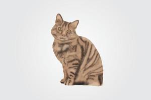 pintura de gato em aquarela desenhada à mão vetor