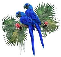 ilustração poligonal 2 araras azuis com plantas amazônicas vetor