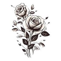 uma Preto e branco desenhando do rosas vetor