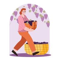 senhora levar cesta com bagas. vinificação processo com natural uvas vetor
