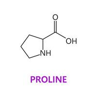 amino ácido, prolina, químico molécula Fórmula vetor