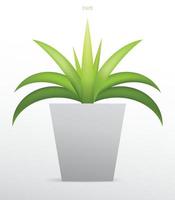 plantas de decoração em vaso de flores. pequena árvore. ideia de objeto natural para design e decoração de interiores. vetor. vetor