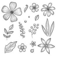 conjunto de ícones de flores botânicas de jardim, estilo desenhado à mão vetor