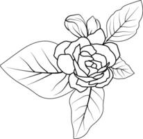 fácil jasmim flor, esboço jasmim flor desenho, tatuagem jasmim flor desenho, esboço jasmim flor tatuagem, simples jasmim flor tatuagem, minimalista jasmim flor tatuagem vetor