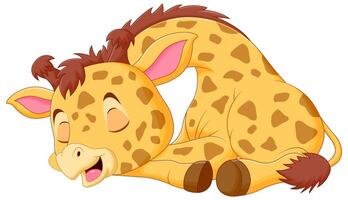 fofa girafa desenho animado dormindo vetor ilustração. animal natureza ícone conceito isolado Prêmio vetor