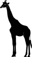 ai gerado silhueta girafa Preto cor só cheio corpo vetor