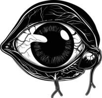 ai gerado silhueta para interno órgãos do olho Preto cor só vetor