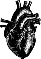 ai gerado silhueta para interno órgãos do a coração Preto cor só vetor