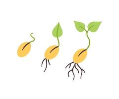 sementes e mudas. germinação de brotos em estilo doodle. mão desenhada ilustração vetorial isolada vetor
