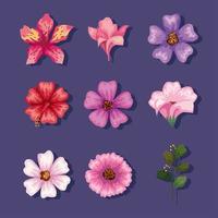 coleção de ícones de flores vetor