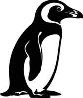 pinguim africano Preto silhueta vetor