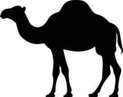 camelo Preto silhueta vetor