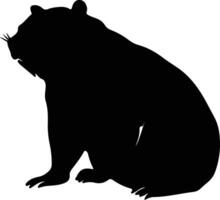 wombat Preto silhueta vetor
