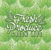 produtos frescos vida verde vetor