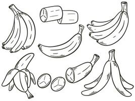 bananas conjunto mão gravação isolado vetor ilustração