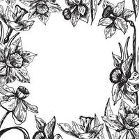 uma quadro, Armação com narciso flores para marcha 8º. narcisos em destaque em uma branco fundo. narciso flores, feito à mão dentro tinta. vetor gráficos do flores mulheres dia.