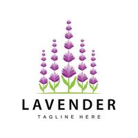 lavanda logotipo simples Projeto vetor Cosmético plantar roxa cor e aromaterapia lavanda flor jardim modelo