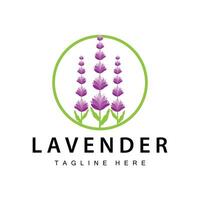 lavanda logotipo simples Projeto vetor Cosmético plantar roxa cor e aromaterapia lavanda flor jardim modelo