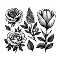 conjunto do floral mão desenhado estilo. flor rosa, peônia, folhas para decoração. Preto e branco vetor flores ilustração