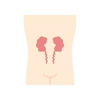 Doente rins design plano ícone de cor longa sombra. minério órgão humano. sistema urinário insalubre. nefropatia. parte interna do corpo doente. falência renal. ilustração da silhueta do vetor
