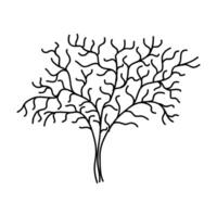 mão desenhado árvore contorno, árvore linha arte Preto e branco esboço desenhando vetor