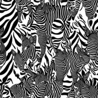 abstrato zebra listra padronizar Projeto. único Projeto do zebra pele listras para tecido indústria padrões vetor