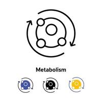 metabolismo ícone. linear vetor ilustração a partir de biologia coleção. esboço metabolismo ícone vetor. fino linha símbolo para usar em rede e Móvel aplicativos, logotipo, impressão meios de comunicação.