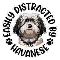 facilmente distraído de havanese cachorro tipografia camiseta Projeto pró vetor