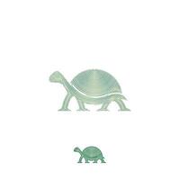 tartaruga Projeto logotipo vetor. tartaruga animal vetor