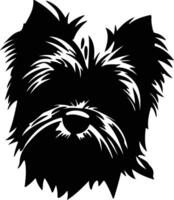 Affenpinscher Preto silhueta vetor