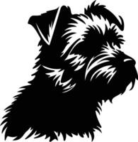 Norfolk terrier Preto silhueta vetor