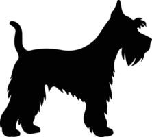 miniatura schnauzer Preto silhueta vetor