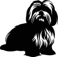 lhasa apso Preto silhueta vetor