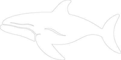 baleia-groenlândia esboço silhueta vetor