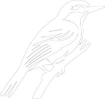 pica-pau-cinzento esboço silhueta vetor