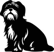 shih tzu Preto silhueta vetor