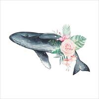 mão desenhado baleia com flores, aguarela vetor