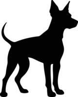 alemão pinscher Preto silhueta vetor