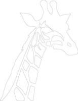 girafa esboço silhueta vetor