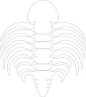 trilobita esboço silhueta vetor