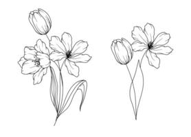 tulipas linha desenho. Preto e branco floral buquês. flor coloração página. floral linha arte. bem linha tulipas ilustração. mão desenhado flores botânico coloração. Casamento convite flores vetor