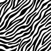 na moda zebra pele padronizar fundo vetor. Preto e branco linha onda abstrato fundo. vetor